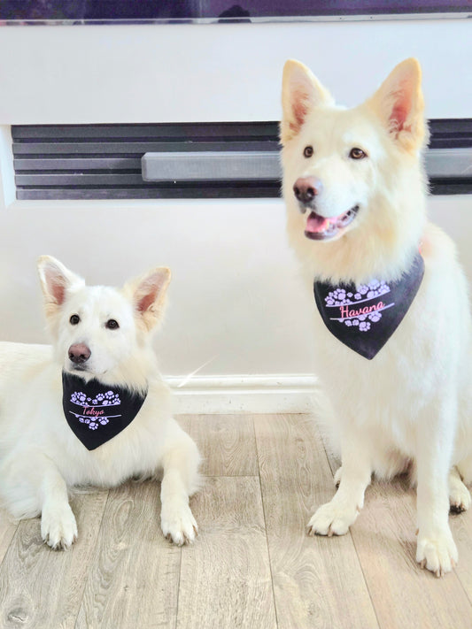 Bandana(s) For Pet(s)-Black-Personalised