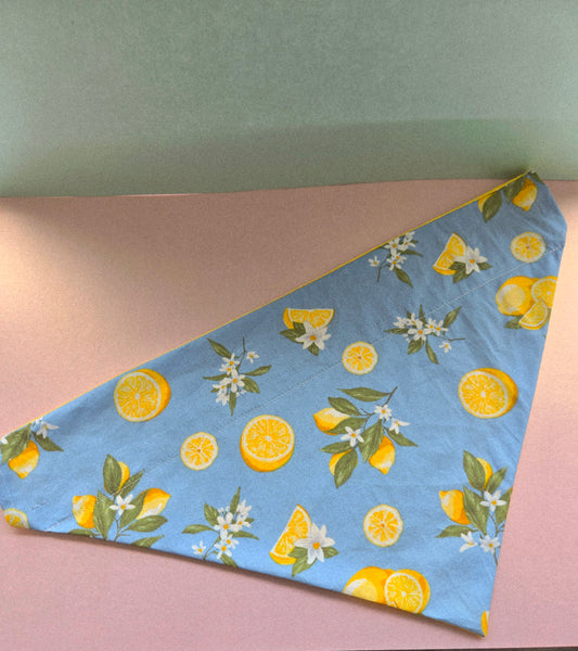 Lemons And Flowers Reversible Patterned Over The Collar Pet Bandana