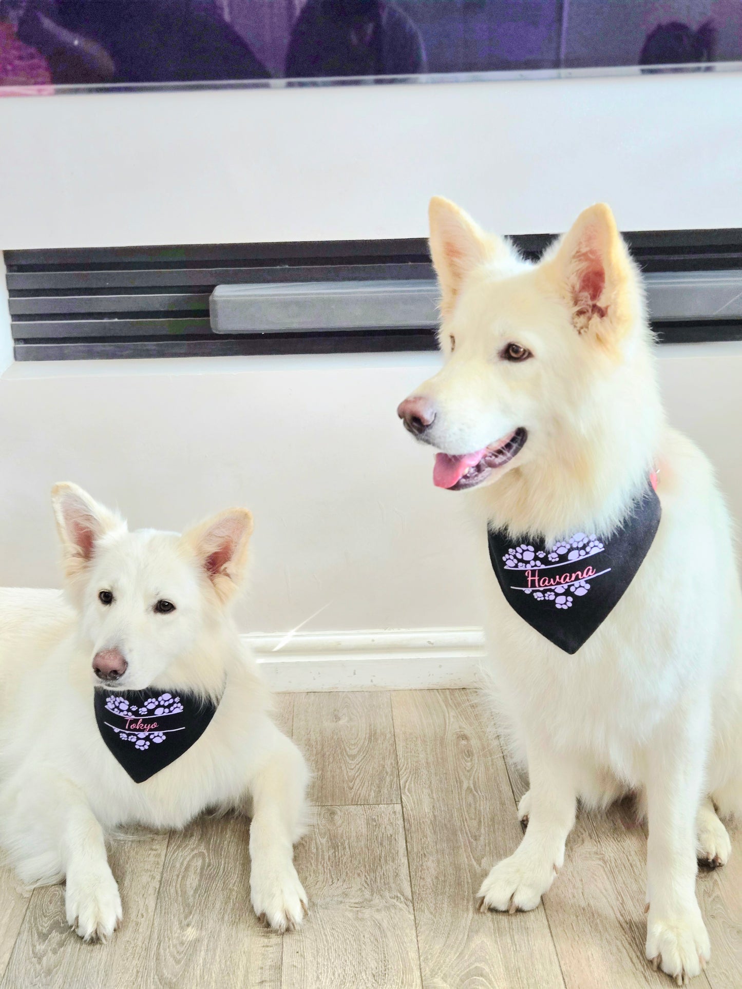 Bandana(s) For Pet(s)-Black-Personalised