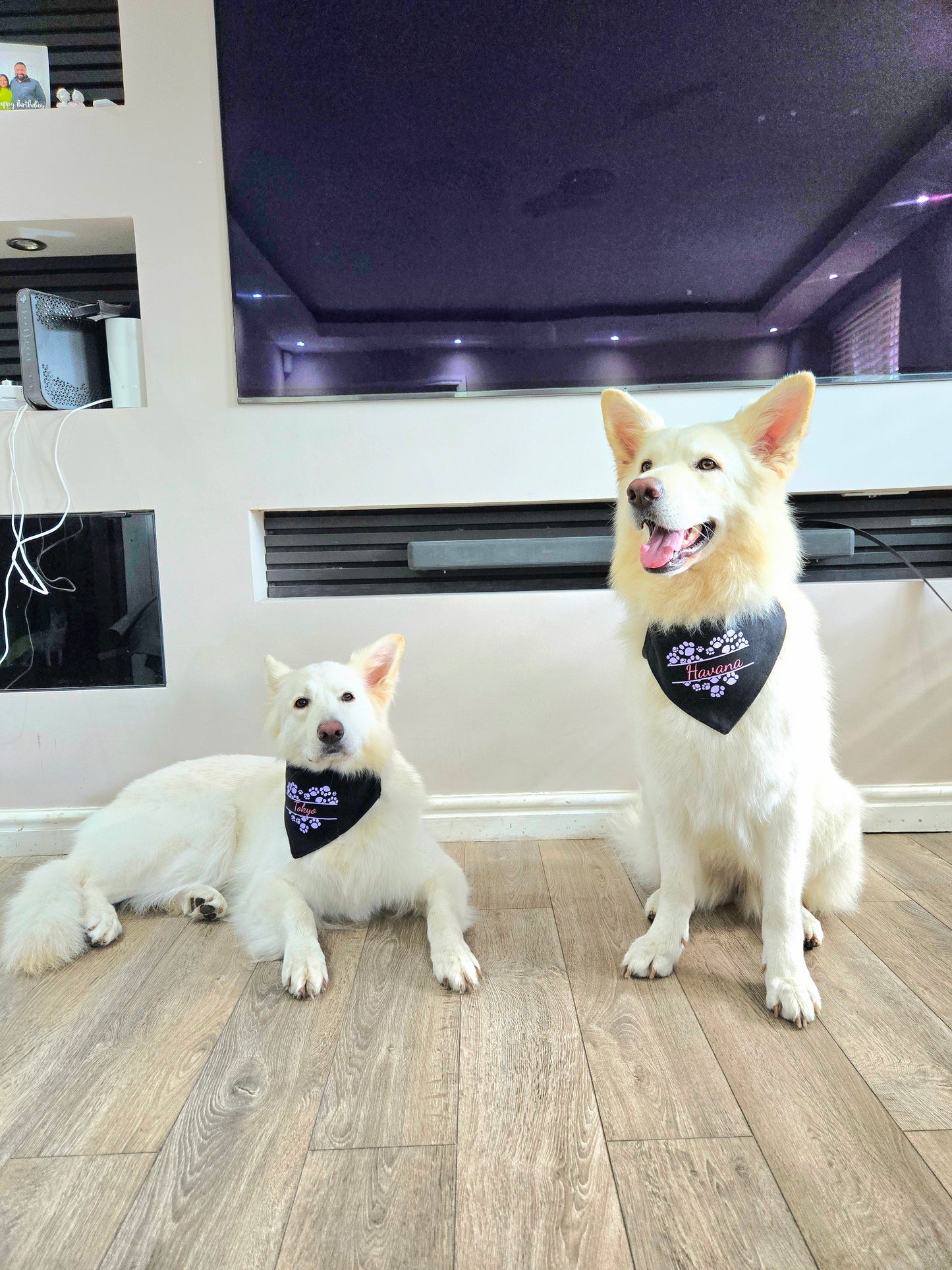 Bandana(s) For Pet(s)-Black-Personalised