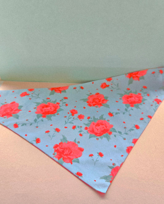 Roses And Paiseley Reversible Over The Collar Pet Bandana