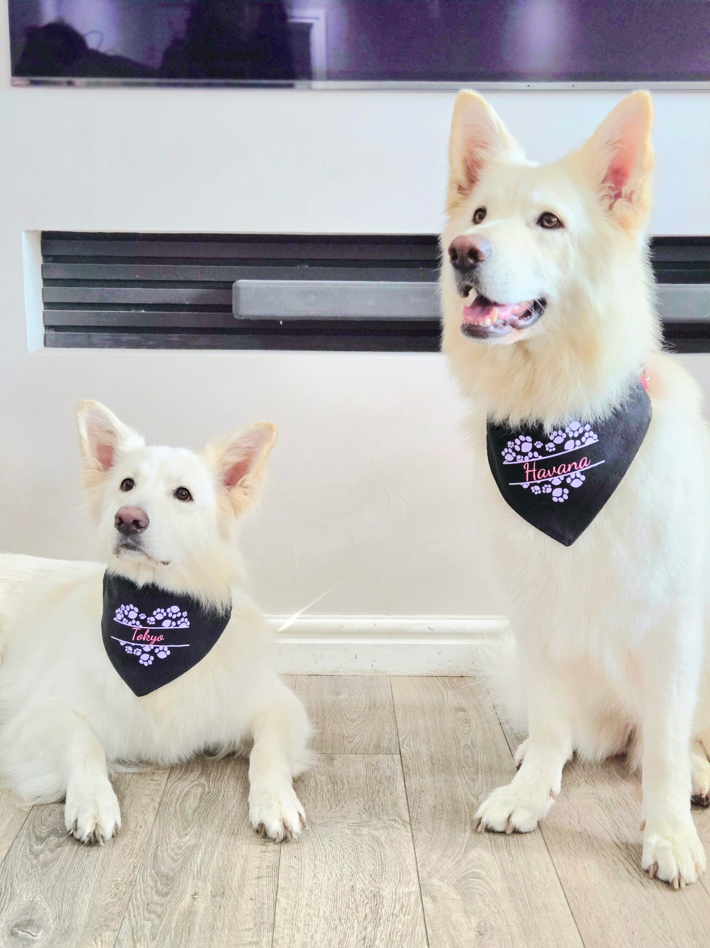 Bandana(s) For Pet(s)-Black-Personalised