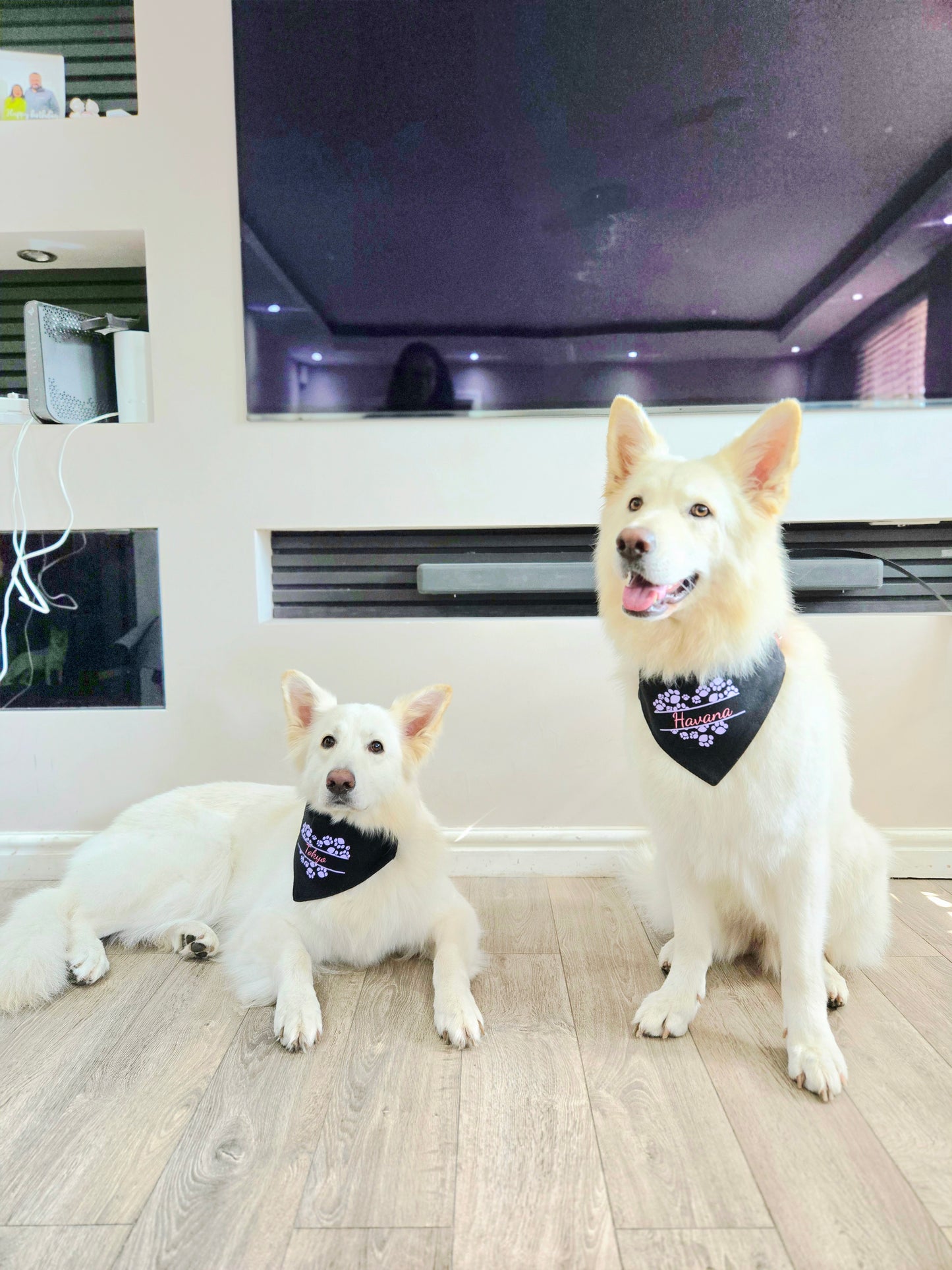 Bandana(s) For Pet(s)-Black-Personalised
