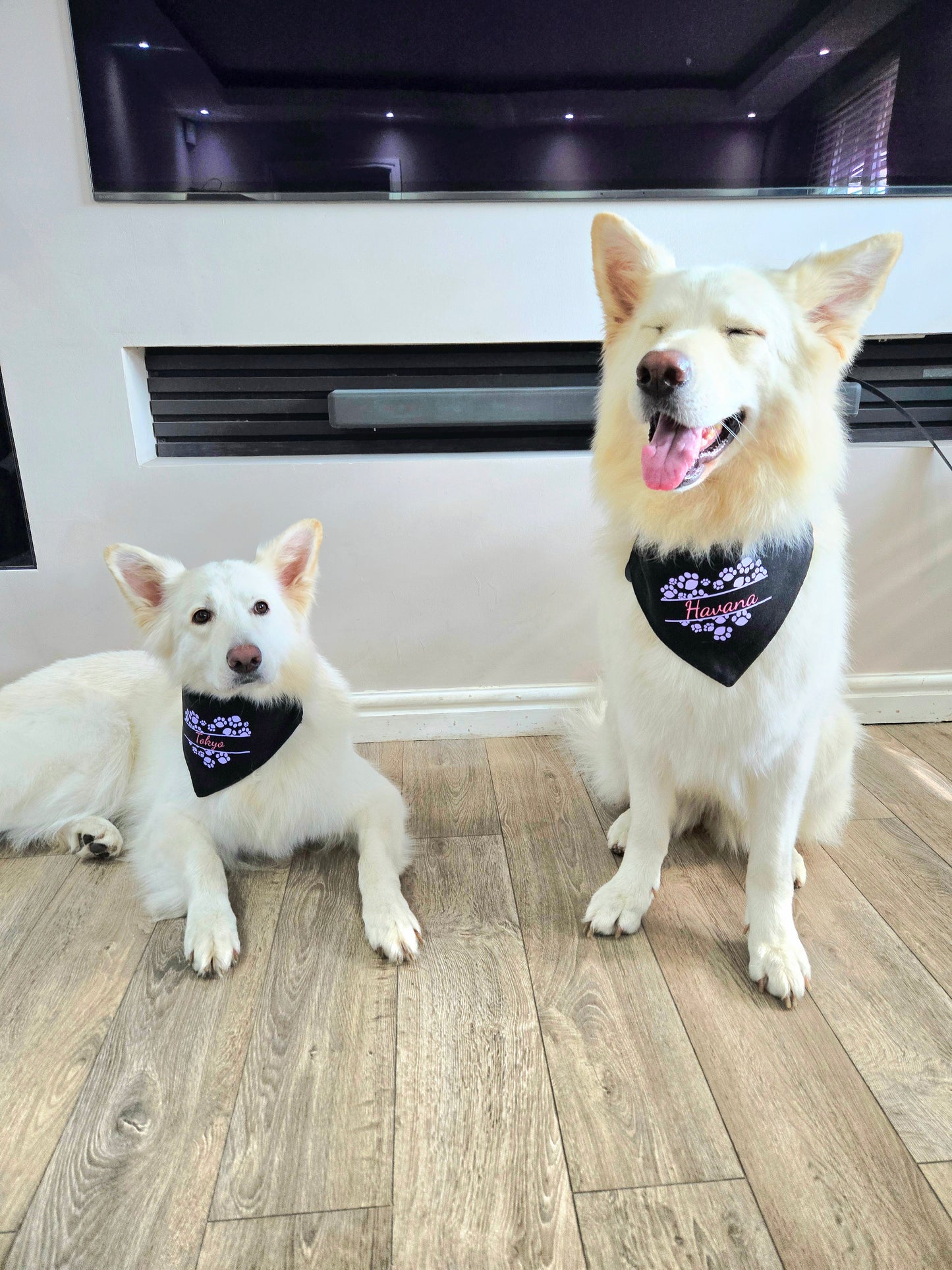 Bandana(s) For Pet(s)-Black-Personalised