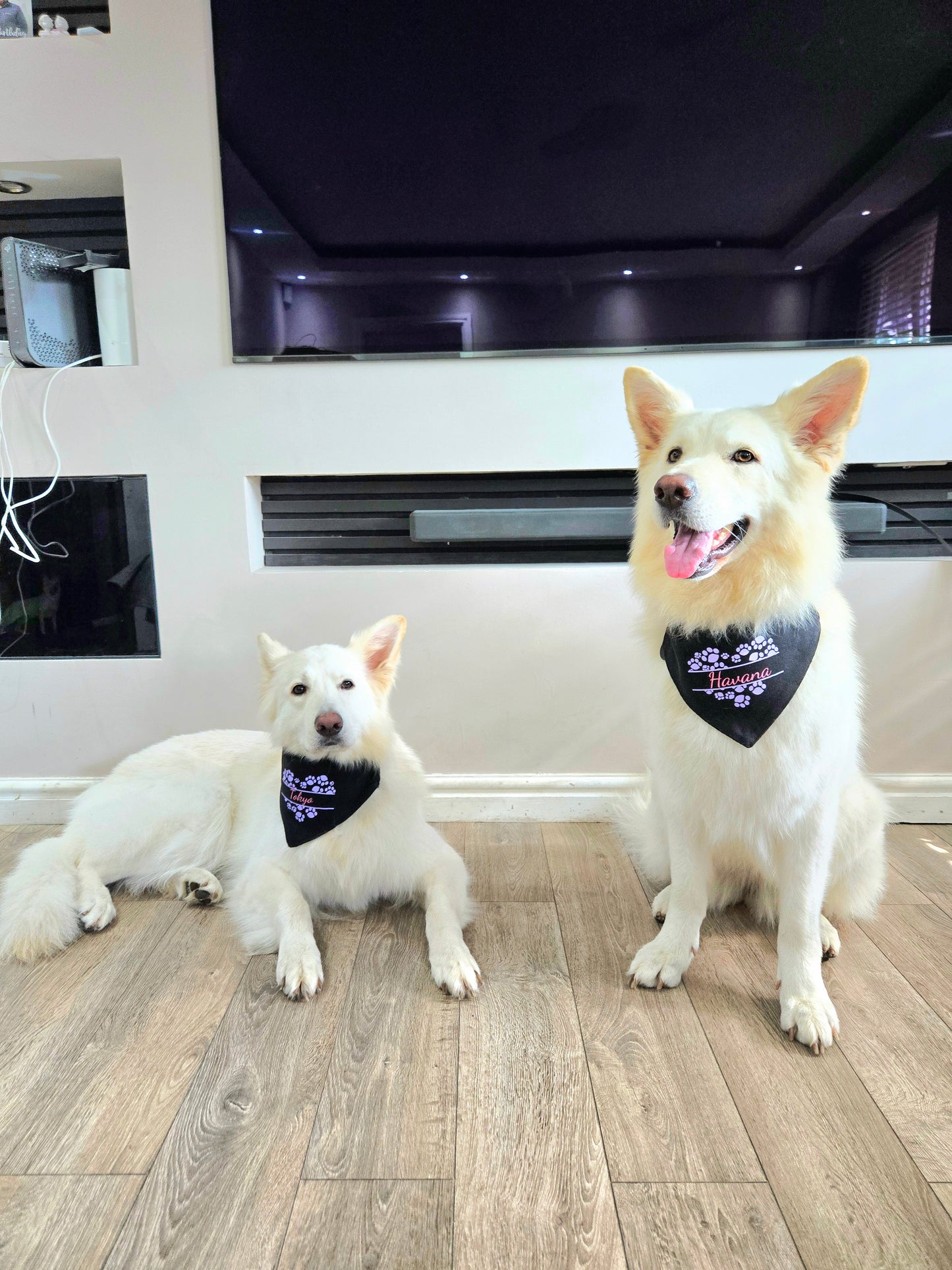 Bandana(s) For Pet(s)-Black-Personalised