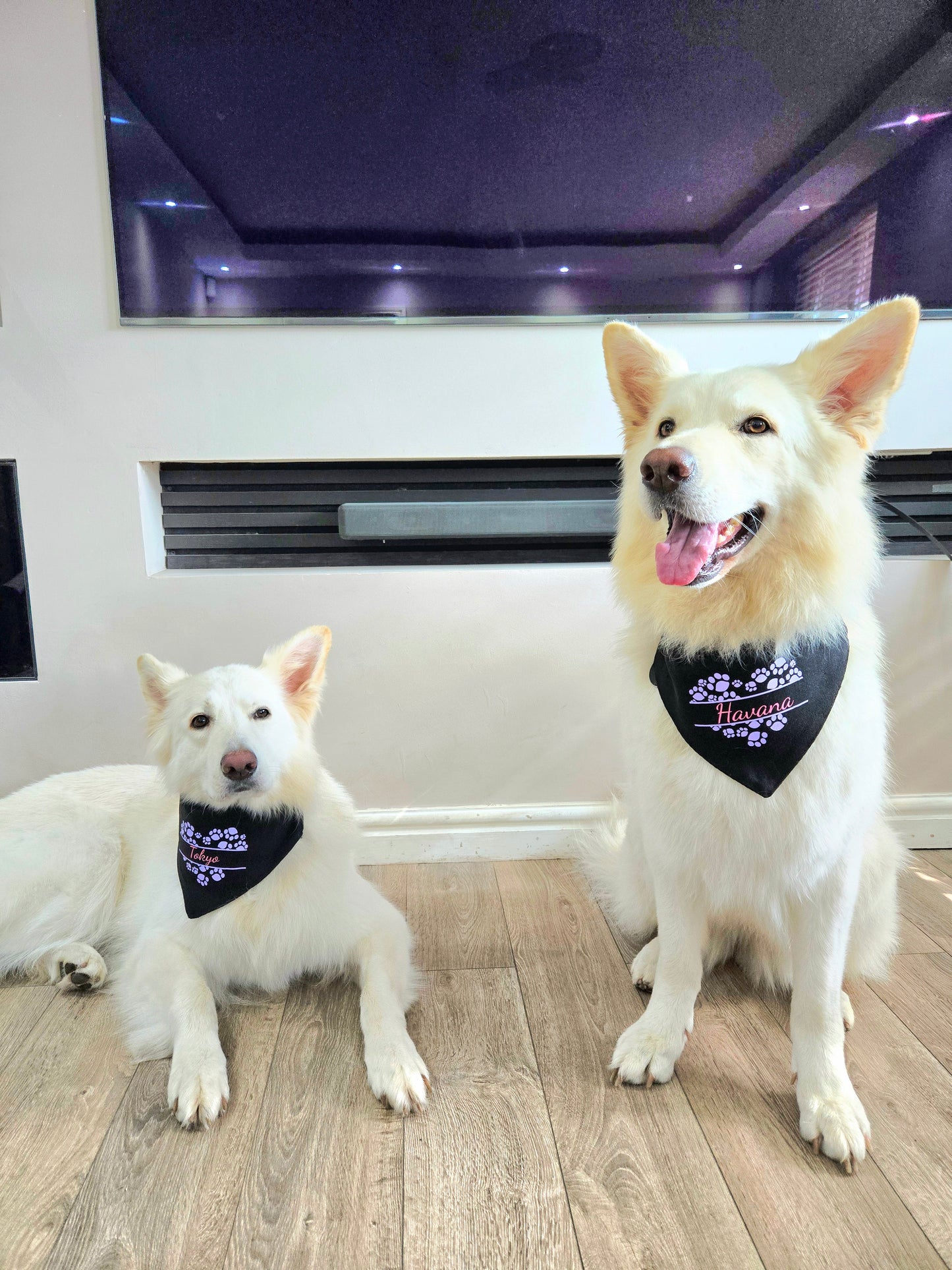 Bandana(s) For Pet(s)-Black-Personalised