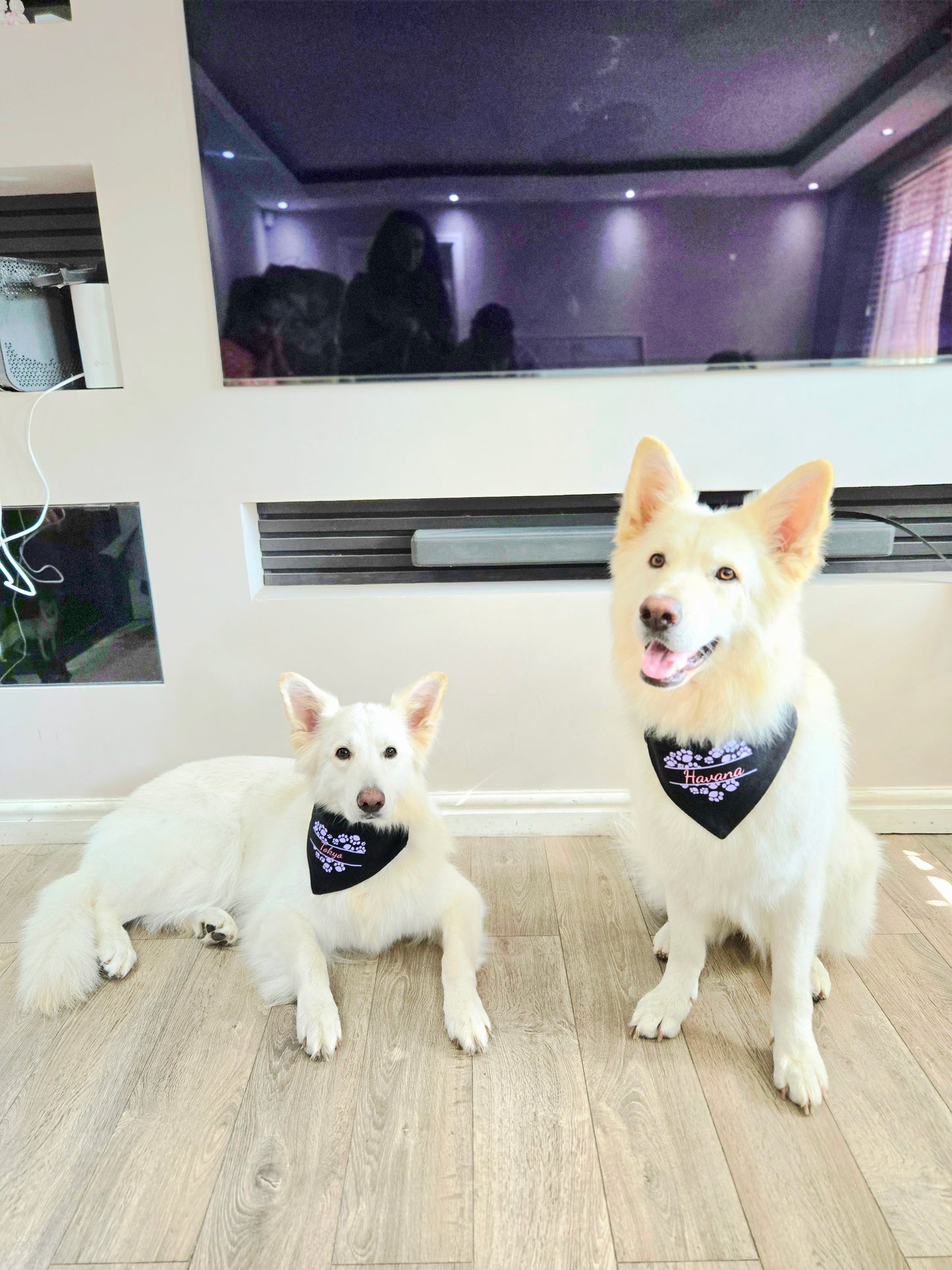 Bandana(s) For Pet(s)-Black-Personalised