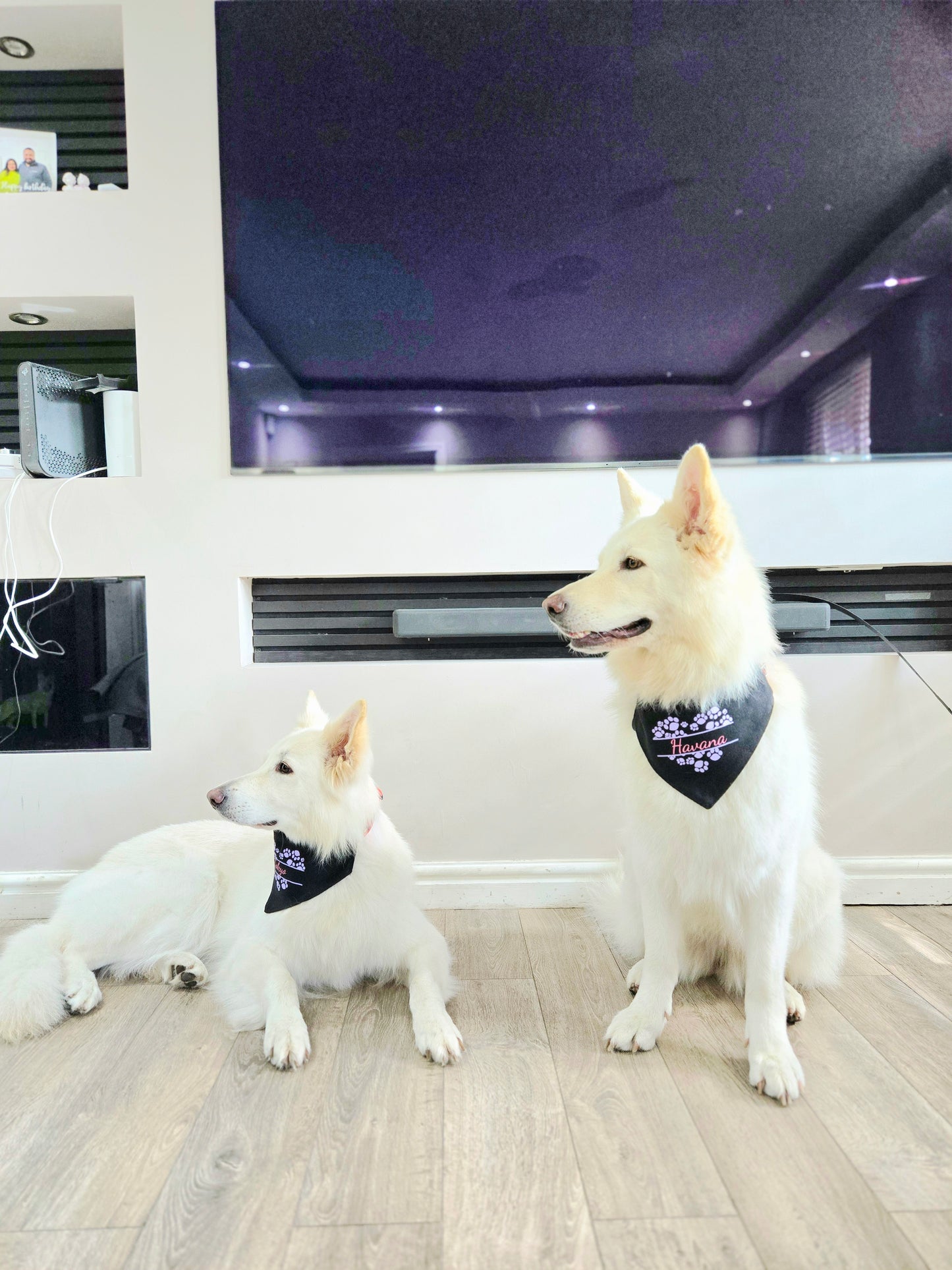 Bandana(s) For Pet(s)-Black-Personalised